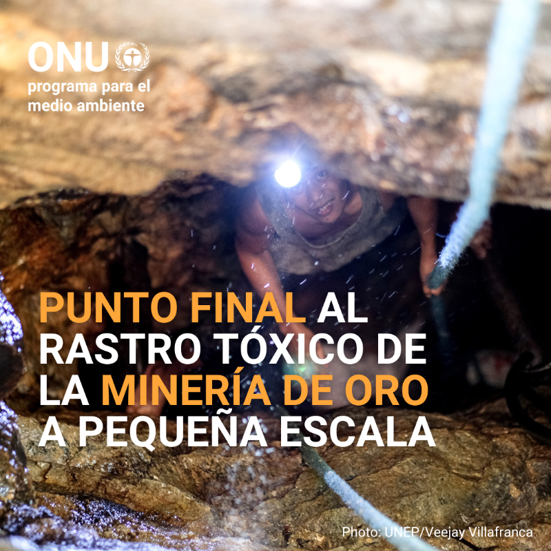 unep_espanol's tweet photo. Más de 100 millones de personas en el 🌎 se ganan la vida en la minería artesanal de oro.

Pero esta práctica emite 2000 toneladas de mercurio al año, lo que afecta:
⚕️ su salud
👨‍👩‍👧‍👦 sus familias
🌎 los ecosistemas
Alianza @minamatamea y @thegef @planetGOLD_org 
#MakeMercuryHistory