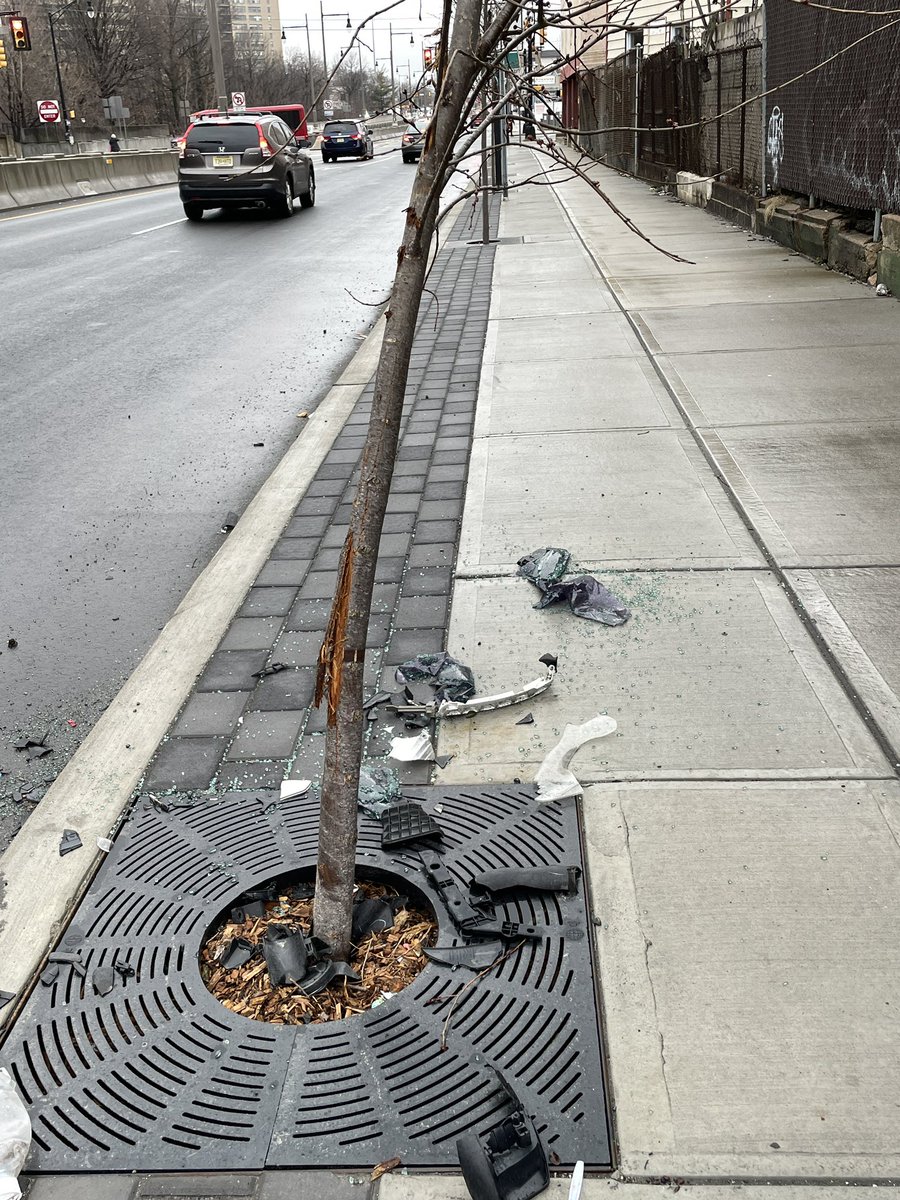 jcclickdontfix's tweet photo. @NewJerseyDOT planted nice little trees all along Rt.139 in #jerseycity back in Dec; cars already doing a great job destroying them. Can we get bollards once all the trees are run over? #fix139 @WorldBollard https://t.co/xUYAJtTyjk