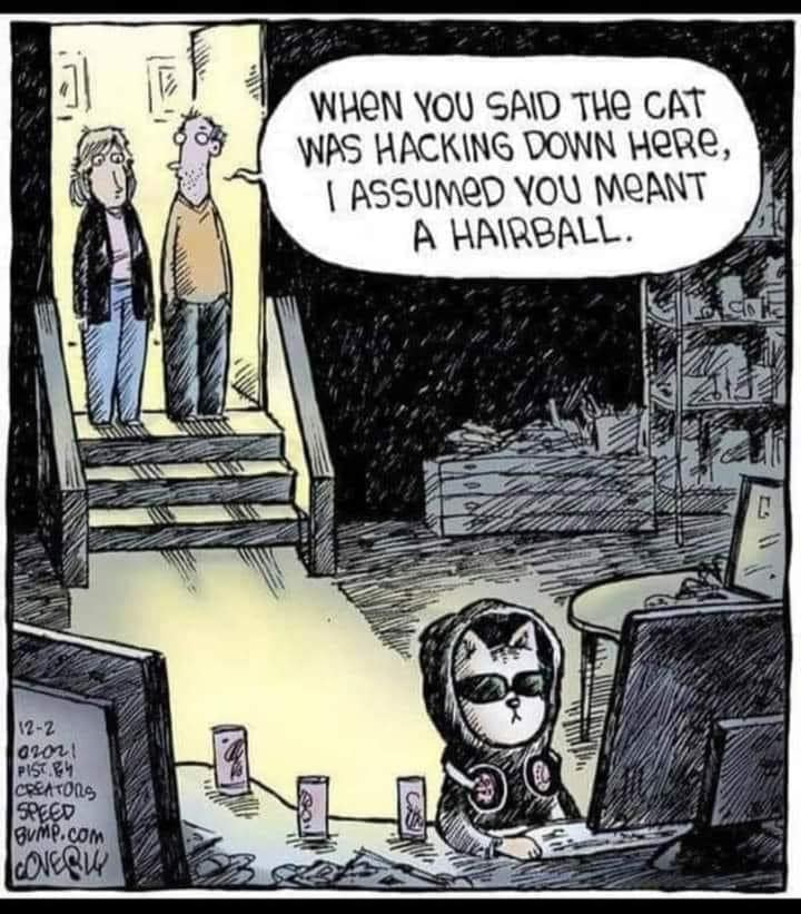 CyberpunkTTRPG's tweet photo. #Cyberpunk #TTRPG #RPG #Hacking #CatHacker #Cats https://t.co/cHbHXNB4gG