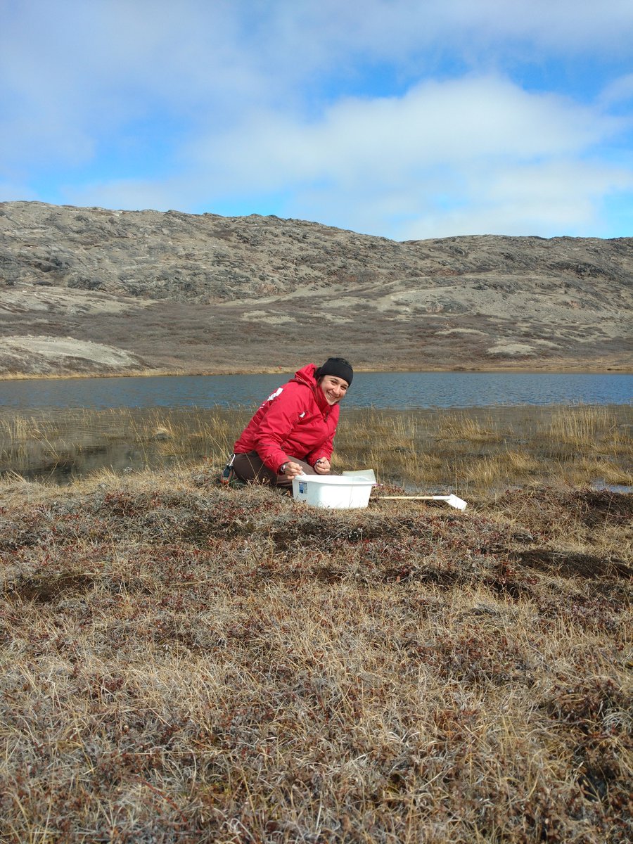 Yes Yes Yes! Fun news Friday for me getting to share that @mdesiervo1031, superstar ecologist & Arctic mosquito colleague, & former @JSEP_GL @DartGRAD @EEES_Dartmouth @DartArctic fellow lands her #dreamjob @UnionCollege Congratulations! 👏