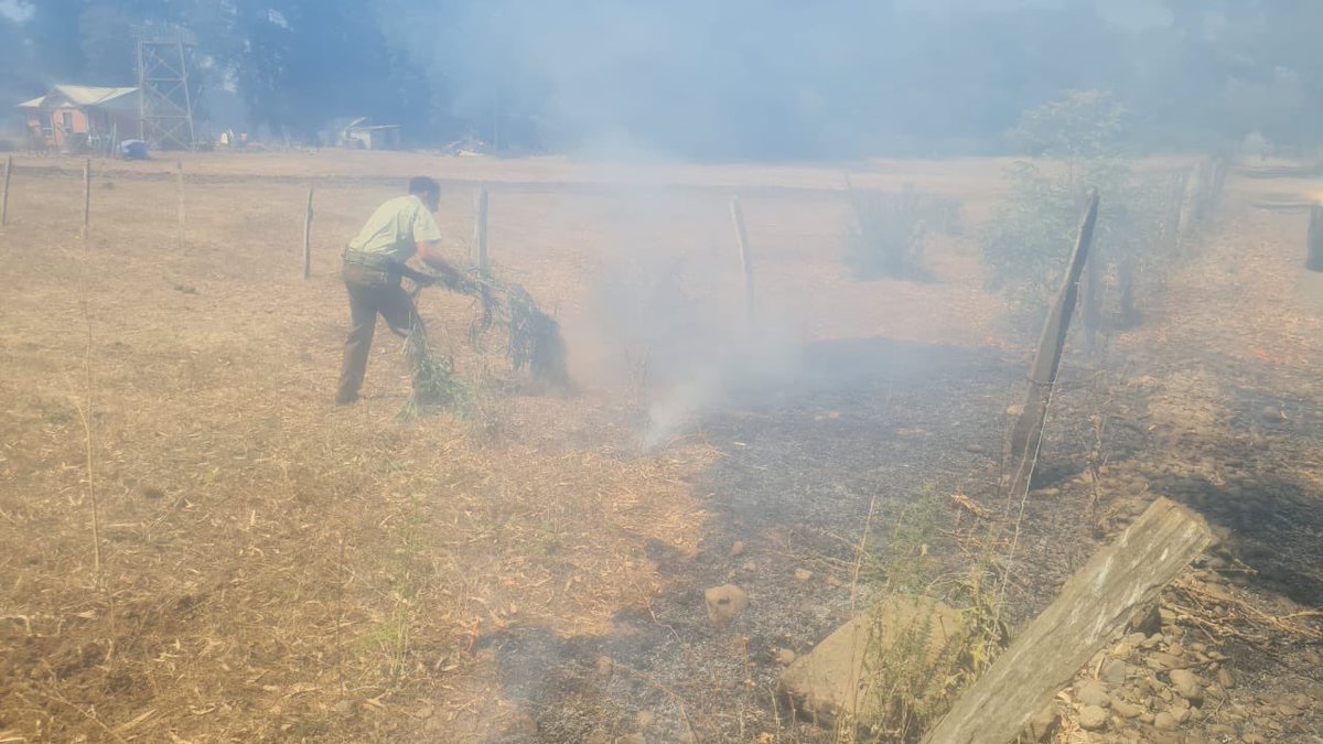 #Araucanía: Carabineros Patrulla PACI 4ª Comisaría #Victoria ayudan a vecinos de la Comunidad Antonio Huenuhueque en la localidad de #Púa a combatir foco de incendio forestal y evitar la propagación de este hacia sus domicilios. #CarabinerosDeTodos