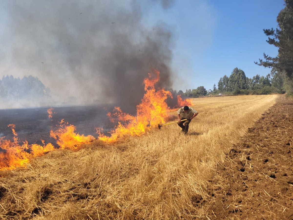 CarabAraucania's tweet photo. #Araucanía: Carabineros Patrulla PACI 4ª Comisaría #Victoria ayudan a vecinos de la Comunidad Antonio Huenuhueque en la localidad de #Púa a combatir foco de incendio forestal y evitar la propagación de este hacia sus domicilios. #CarabinerosDeTodos https://t.co/UaSSmwZgJM