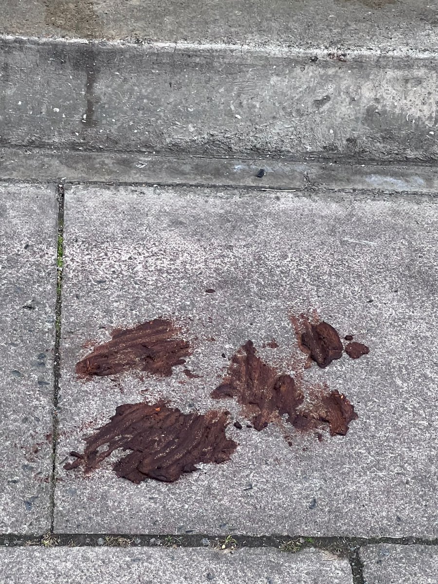 BackingBrixton's tweet photo. Public human excrement is a real issue on #Brixton Rd  #scat 
351 Brixton Rd What is @lambeth_council doing about it. A habitual problem
@JamesBryanSW9 @jp_sw9 @ManleyNanda @mrjamesob https://t.co/g6H9Qa3Q8q