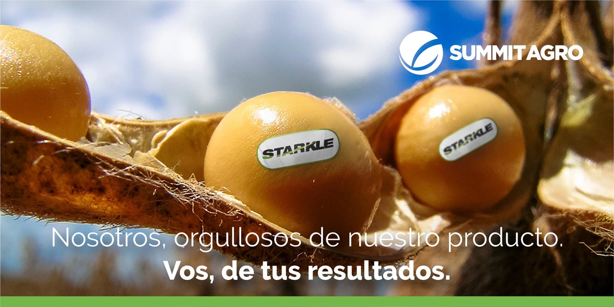 SummitAgroAr's tweet photo. 🙌 Un insecticida de altísimo poder de volteo y excelente persistencia en el control de chinches y trips desde estadios tempranos (R3).
👉 Starkle hace que vos te lleves todos los porotos.
✅ Un resultado con etiqueta de calidad.

#SummitAgro #Starkle #Chinches #Trips #Soja https://t.co/Xcrv2PIAag