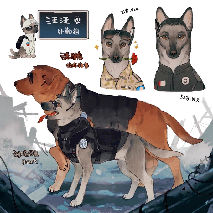 球2的外勤组狗狗 