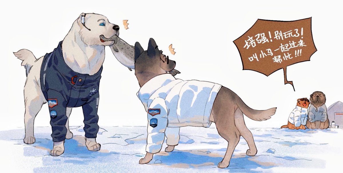 dog chinese text jacket snow clothed animal animal no humans  illustration images