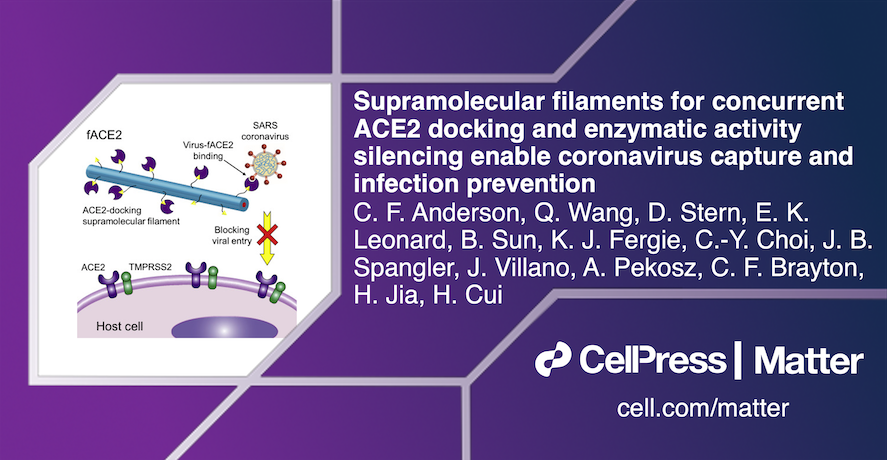 Matter_CP's tweet photo. .@HonggangCui & @HongpengJia lead this work using supramolecular peptide filaments to deliver ACE2 to prevent COVID infection using aerosol sprays! @SpanglerLab @HopkinsEngineer @JHU_ChemBE
Check it out in #MatterIssue44: https://t.co/SsxxDulw0W https://t.co/75ZI4o64Sr