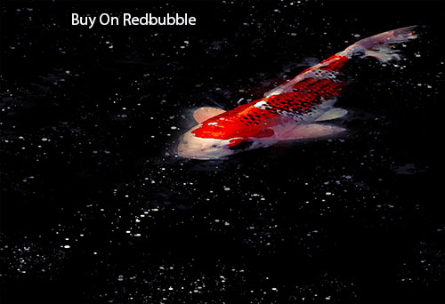 getlyart's tweet photo. koi Fish Watercolour Painting art available on 90+ Products like Stickers, Mugs, Canvas Print, Pillow Poster etc Check Bio
 #art #Watercolourpainting #painting #PainterOfTheNight #PaintingWarhammer #artwork
 #redbubbleartist #fishing #TrendingNow #viral #fun #funny #artworks https://t.co/IrwP8iS2oX
