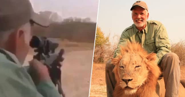 AMAZ1NG_NATURE's tweet photo. Coward!!

Guy Gorney says he  'hunted' this Lion. He DIDN'T......he killed it while it SLEPT!!!!

#BanTrophyHunting NOW!! https://t.co/nMQ1i6NjzO