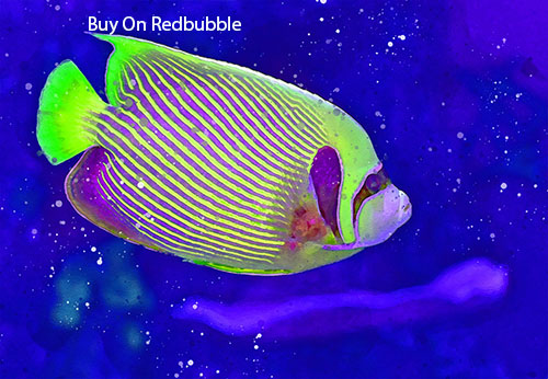 getlyart's tweet photo. Watercolour Painting art available on 90+ Products like Stickers, Mugs, Canvas Print, Pillow Poster etc Check Bio
#fishing #fish #FishingGirls
#art #painting #PainterOfTheNight #paintings #paintingoftheday
#Watercolourpainting #sticker #watercolour #trendingnow #FashionWeek https://t.co/ZUD7kAyiGO