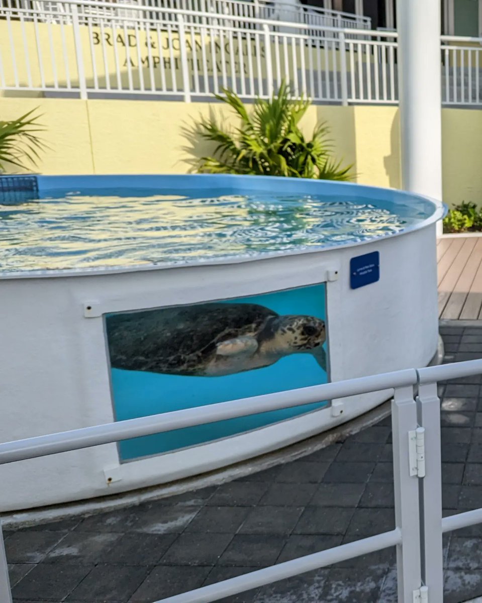 Ben Morrison on Twitter: "We had a blast today checking out a sea