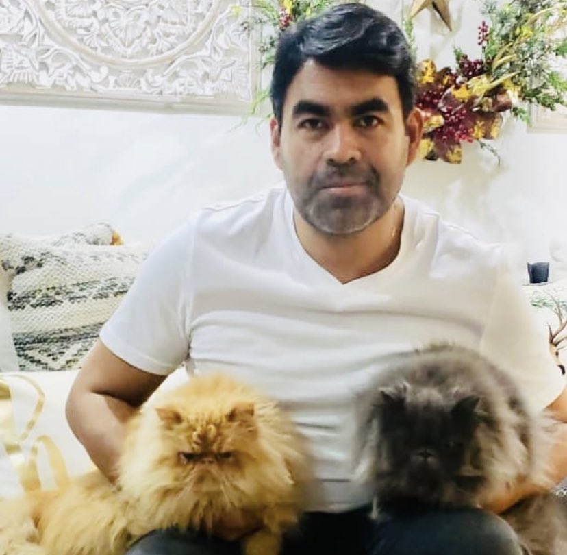 cesar_hdezc's tweet photo. Hoy nos dijeron “gatos” como si eso nos ofendiera, por el contrario me enorgullece ser comparado con tan nobles compañeros. Acá les presento a los gatos Hernández, Thomas y Mati (que ya no me acompaña 🥺)

¿Tienen uno o varios? Muéstrenlos 😺 @luispelaezj https://t.co/UB4AI30bEH
