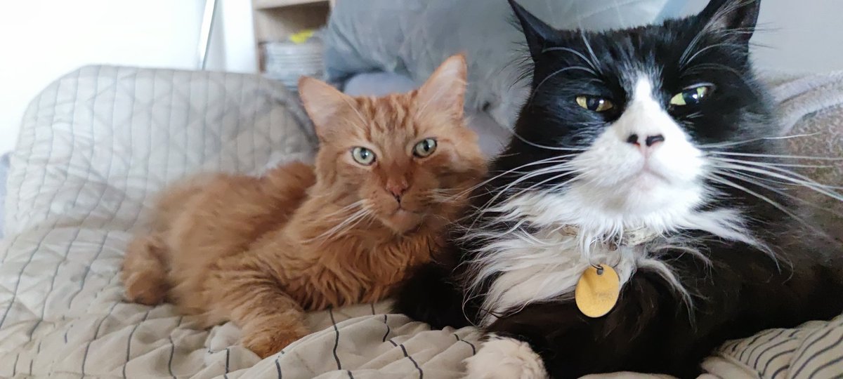 .... Well I'm gonna die for sure... 😶