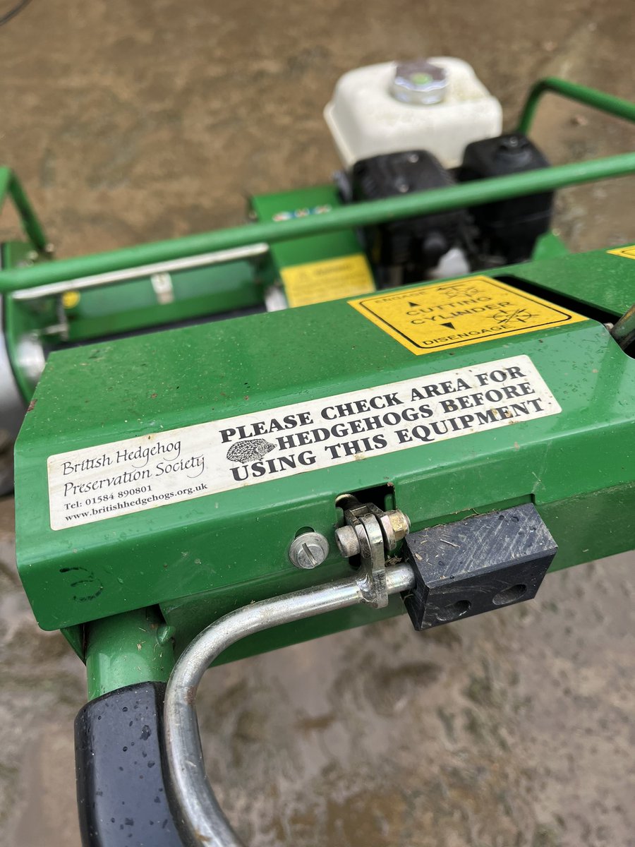 UOLGrounds's tweet photo. Thankfully the cricket squares had no hedgehogs before mowing but worth a check #thingsyoufind https://t.co/Q4olwpxM99