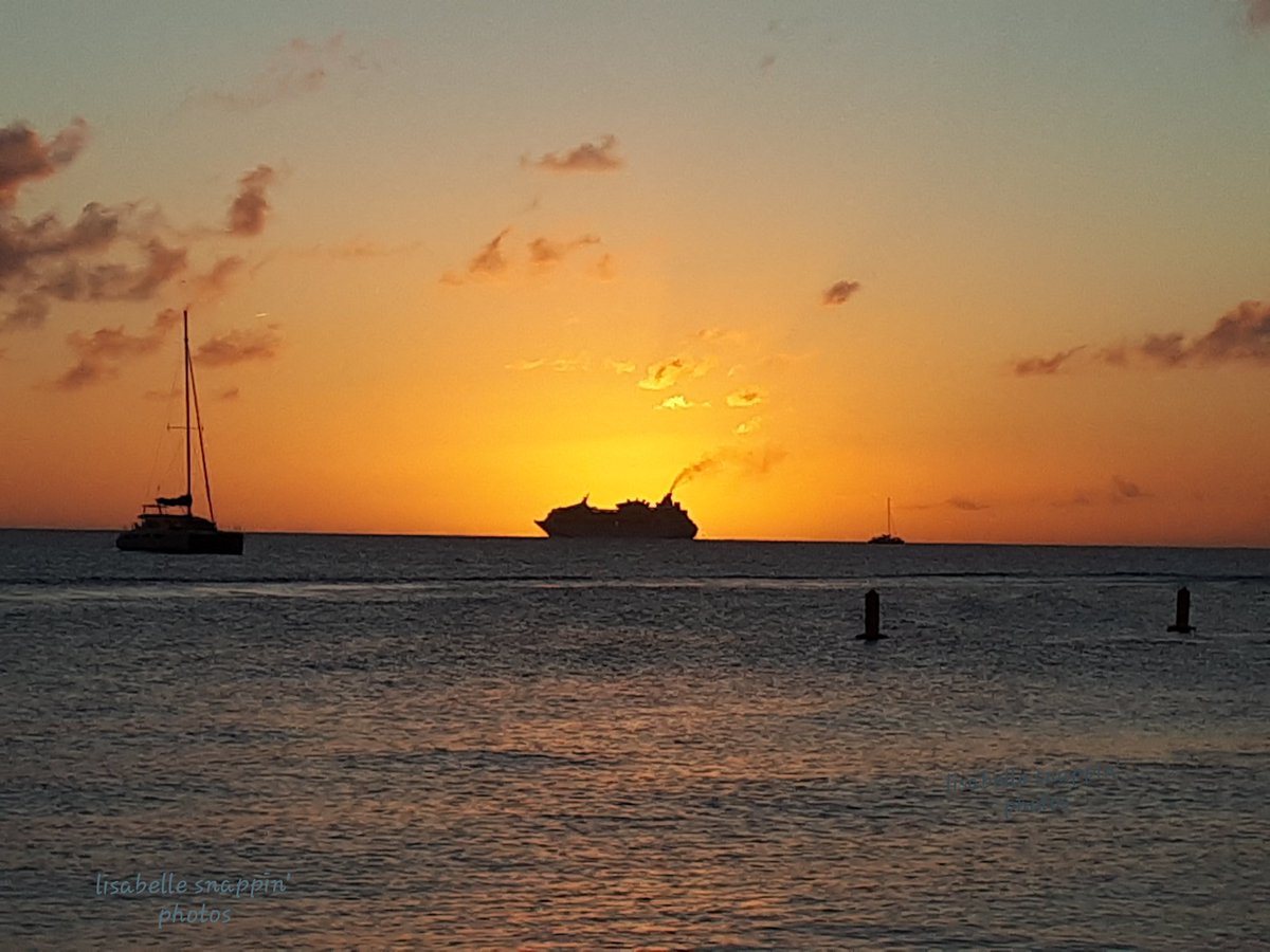 Lisa Francis tweet media