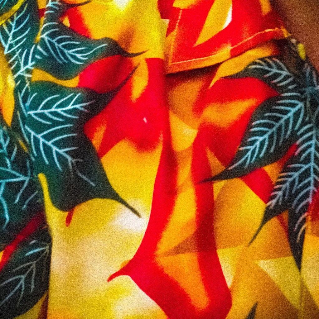 nachosmooth's tweet photo. Cómo... It is Friday. Day.... #hawaiianfriday #africanfriday de @anabuenonature https://t.co/JPcuNcx5DM