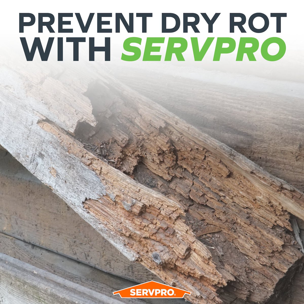 In order to prevent dry rot and structural damage, it’s important not to reconstruct or cover wood and other wet materials until the moisture content has been adequately reduced. SERVPRO can perform "wet checks" to confirm materials are dry.