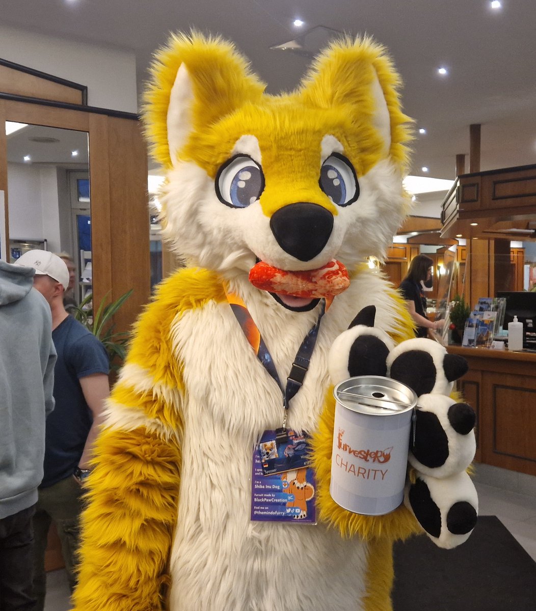 Swift_Lynx's tweet photo. Who could resist @themindofurry's  eyes?☺️

#FursuitFriday 
#Furvester https://t.co/tHHVCG7lr0