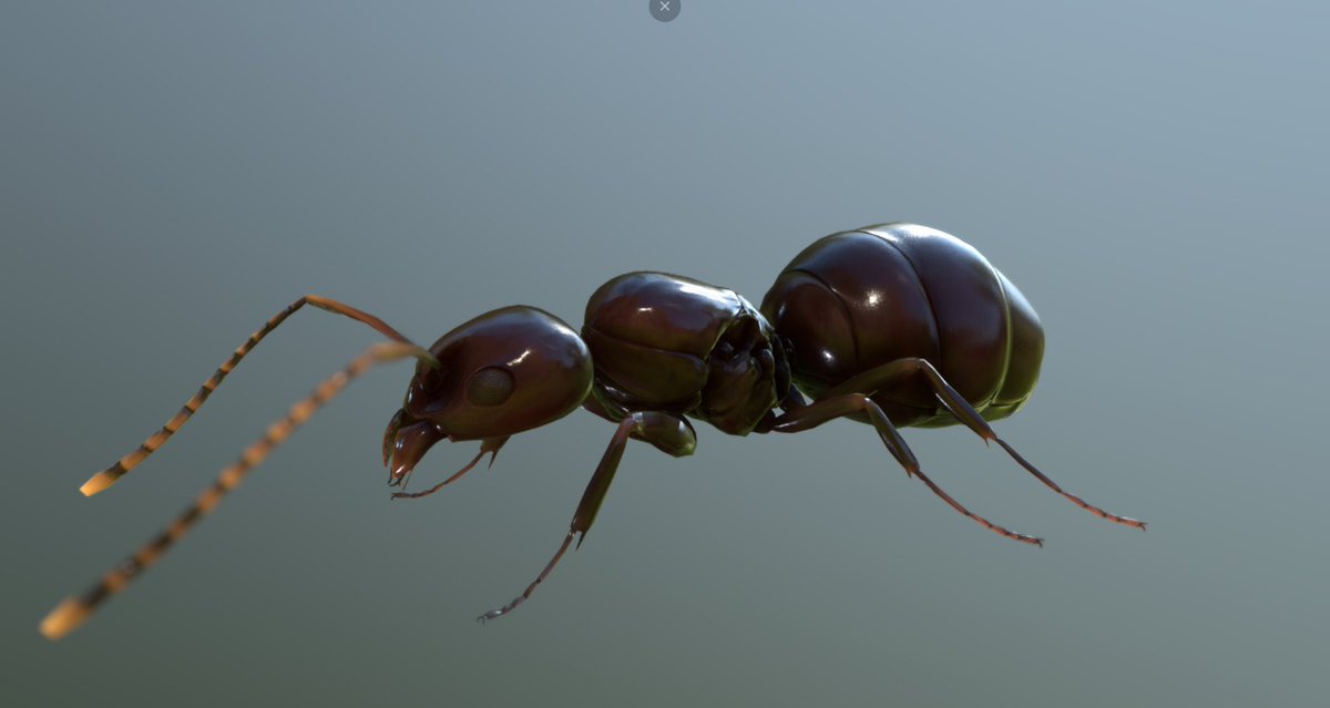 arcane_worlds's tweet photo. Queen ant rocking her stuff!! #forthehive 

FTH is available today for steam wishlist! Link Below 👇
https://t.co/MGk6YQs4RD https://t.co/u9xyGTD0cI