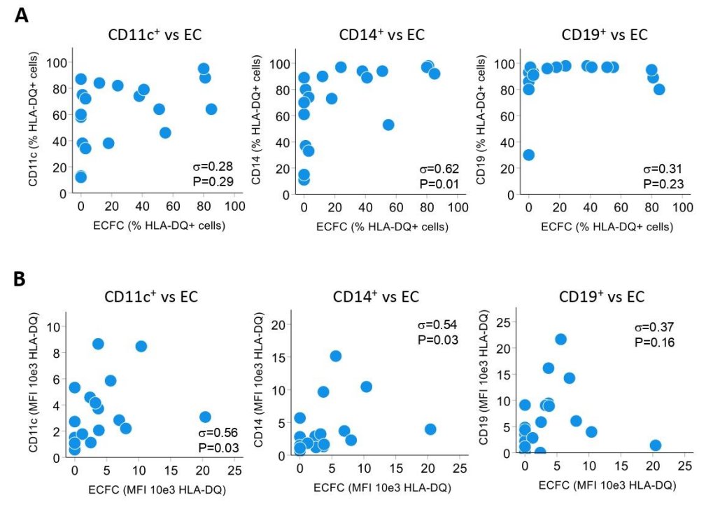 JASN_News (@jasn_news) on Twitter photo Endothelial colony-forming cell lines reveal heterogeneous expression of class II HLAs, particularly HLA-DQ, suggesting that measuring expression in kidney grafts could assess autoimmune risk. bit.ly/JASN095
<a href="/AstridWeins/">Astrid Weins</a> <a href="/jazziup/">Jamil R. Azzi MD, PhD</a> <a href="/BWHPath/">Brigham and Women's Pathology</a> @BWHKidney Endothelial colony-forming cell lines reveal heterogeneous expression of class II HLAs, particularly HLA-DQ, suggesting that measuring expression in kidney grafts could assess autoimmune risk. bit.ly/JASN095
<a href="/AstridWeins/">Astrid Weins</a> <a href="/jazziup/">Jamil R. Azzi MD, PhD</a> <a href="/BWHPath/">Brigham and Women's Pathology</a> @BWHKidney