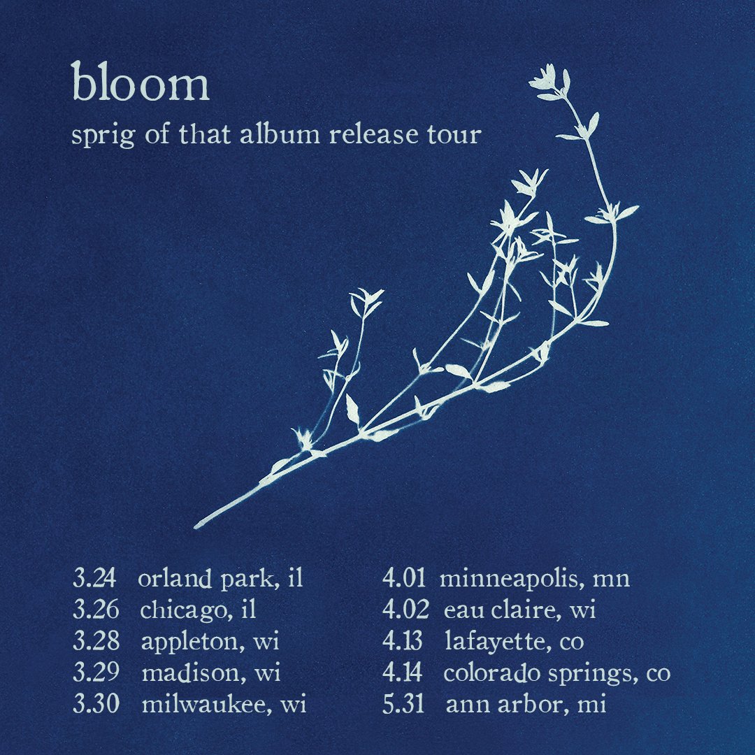 Sprig of That tweet media