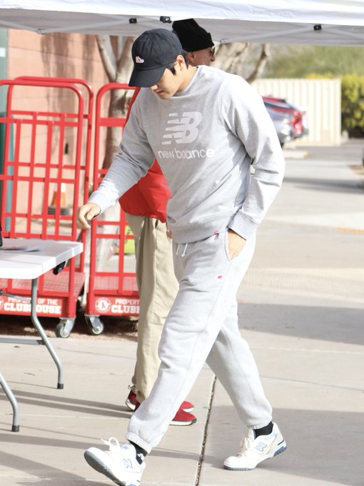 ボタニカル ミディアムベール ニューバランス 9060 大谷翔平 - 通販