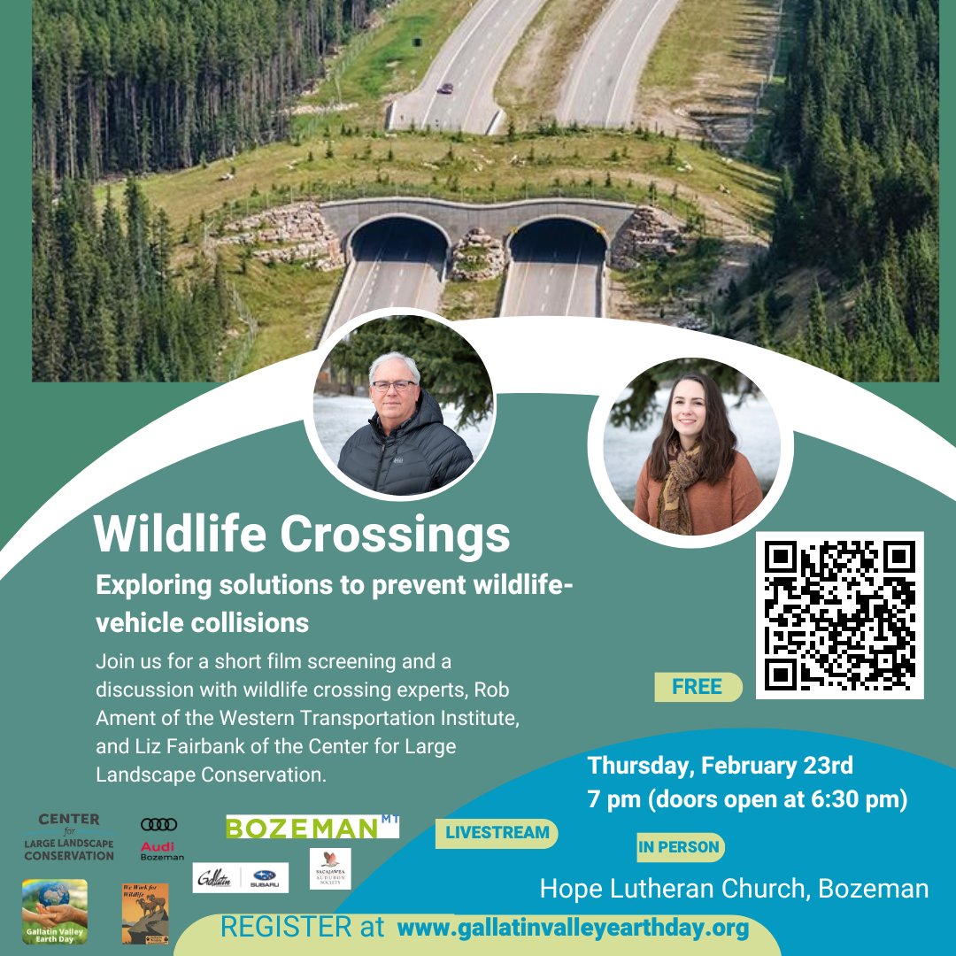 Next week! On February 23, please join us in #Bozeman, Montana, or ONLINE when Gallatin Valley Earth Day will present a discussion with #wildlifecrossing experts Liz Fairbank of @Largelandscapes & Rob Ament of @WTIruralmatters

REGISTER: register.gotowebinar.com/register/49410…