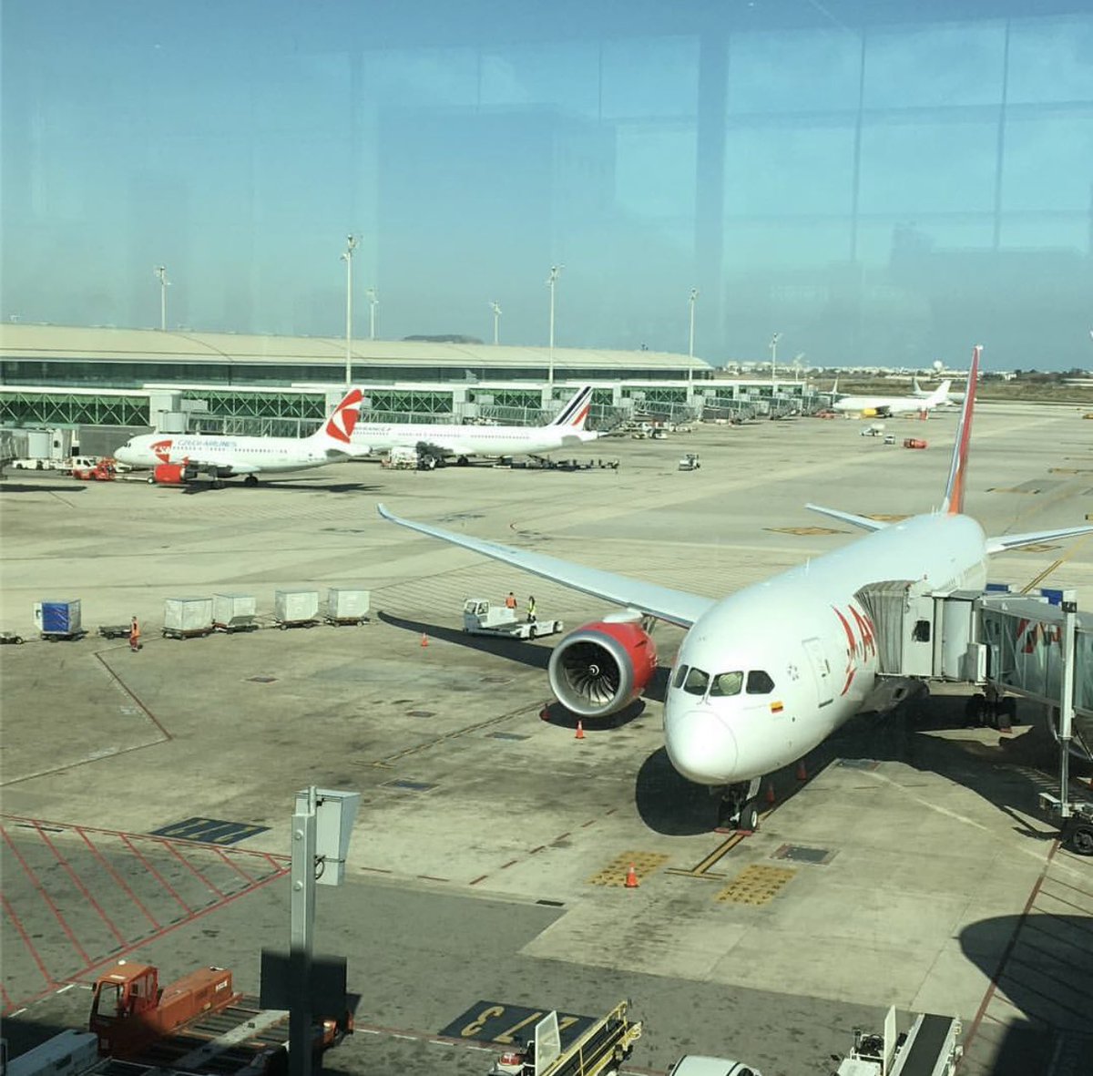 Carlitos   tweet media