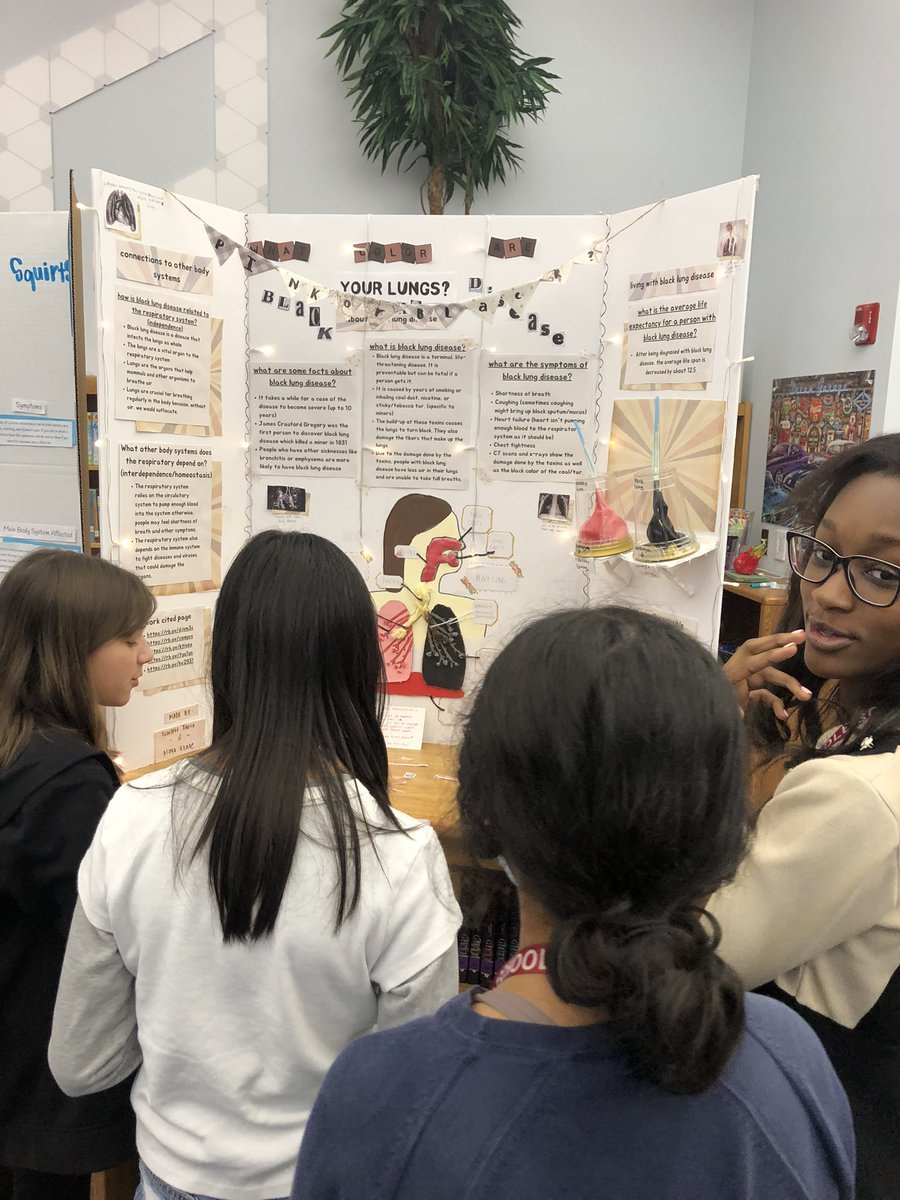 Diana Mitchell tweet media