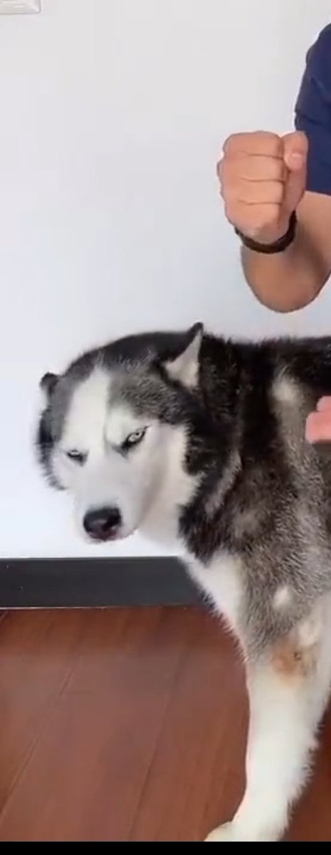 Juanpi_Farez's tweet image. #Emputado