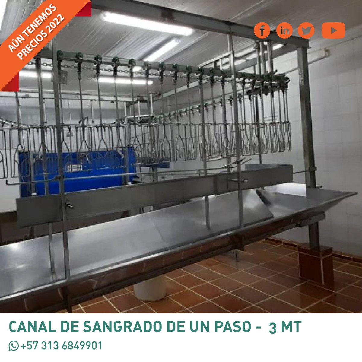 Tekprosa1978's tweet photo. Invierte, agiliza y moderniza tu Planta de Procesamiento. #Tekpro #Precios2022 #avicola #canaldesangrado #canaldeevisceracion #transportadorderodillos https://t.co/n4z8x5BSzR