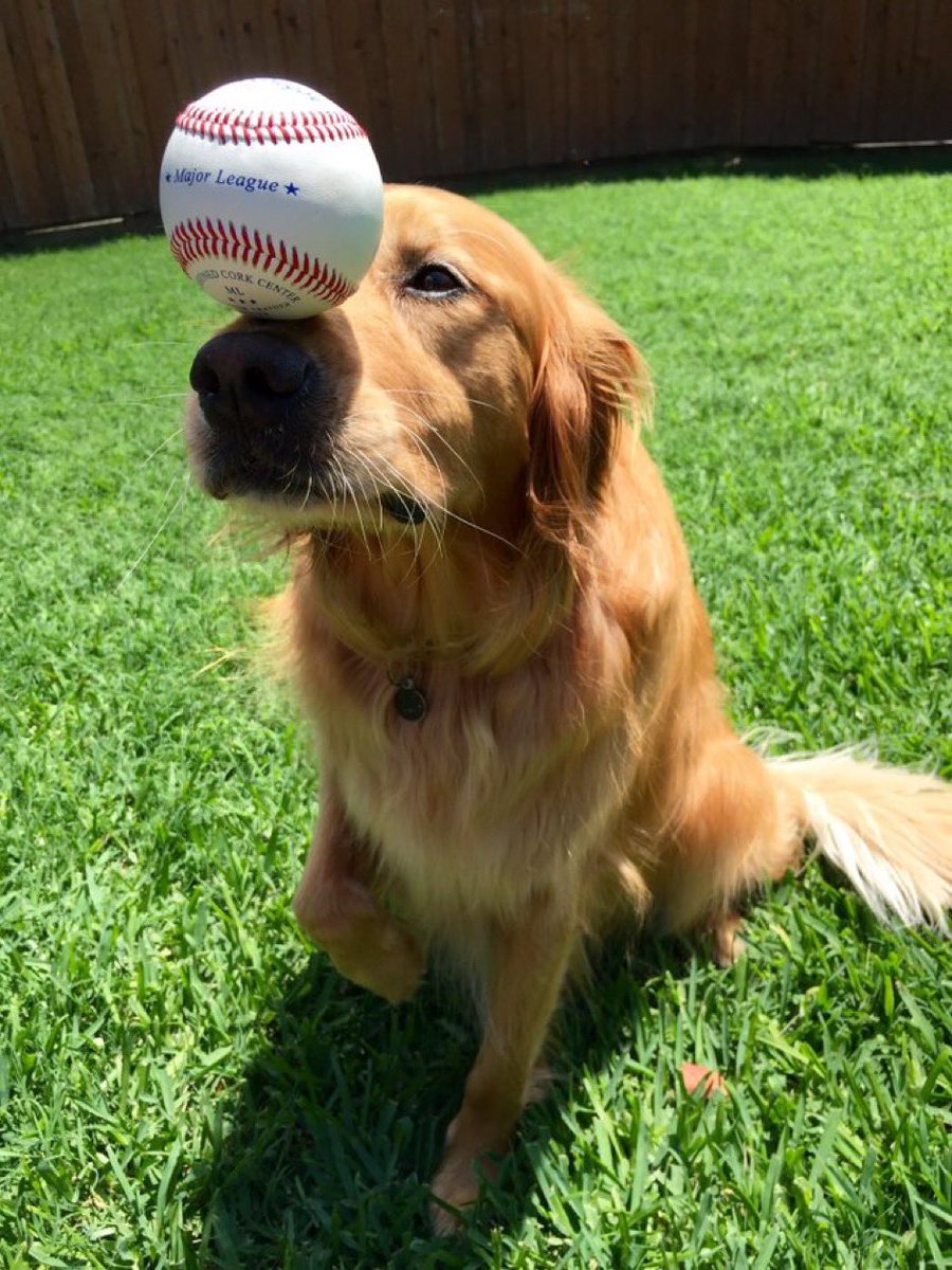 BalancingBeans's tweet photo. @reveille @AggieBaseball I am!!! https://t.co/iwXhZpumnW