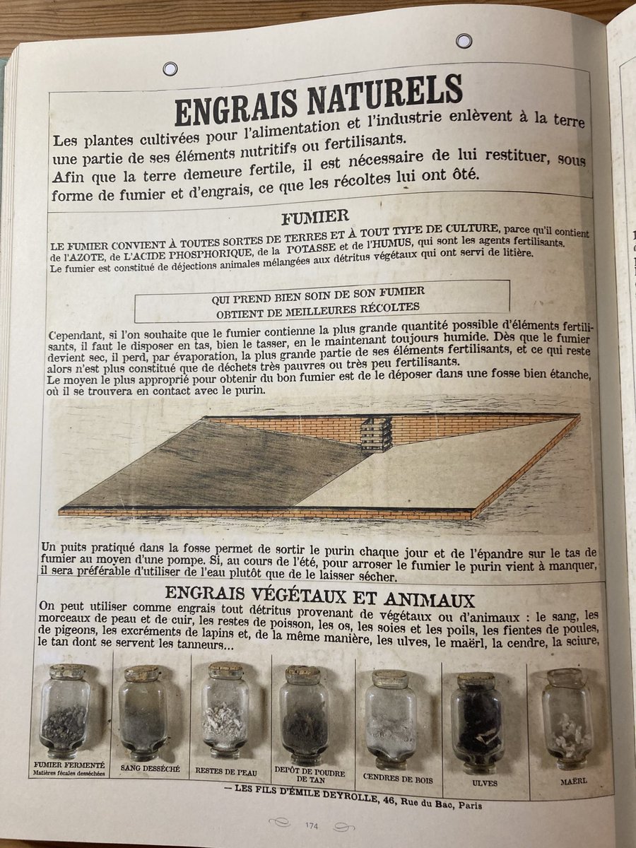 Leçon de choses - engrais naturels ! planches de chez Deyrolle