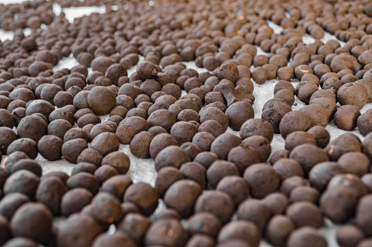 SeedBombsTZ's tweet photo. Curious what we put in our Seed Bombs? We use clay-based soil, charcoal, and one seed! https://t.co/6imQtOQoWA