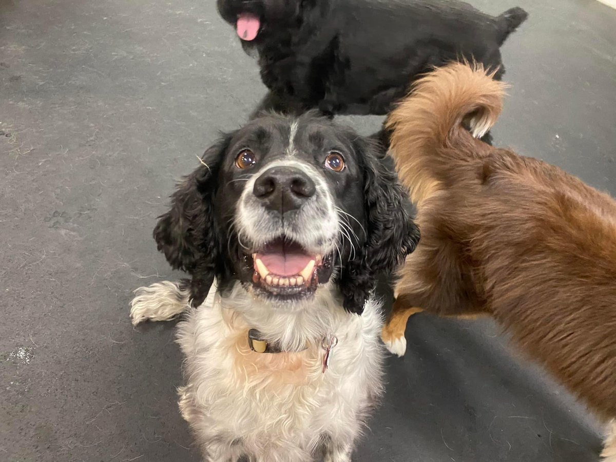 Happy Friday pals - workday is done 😎