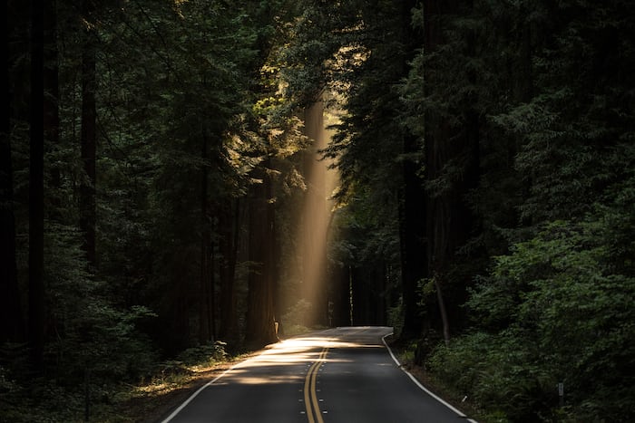For those searching for the light . . . Never stop...✨
