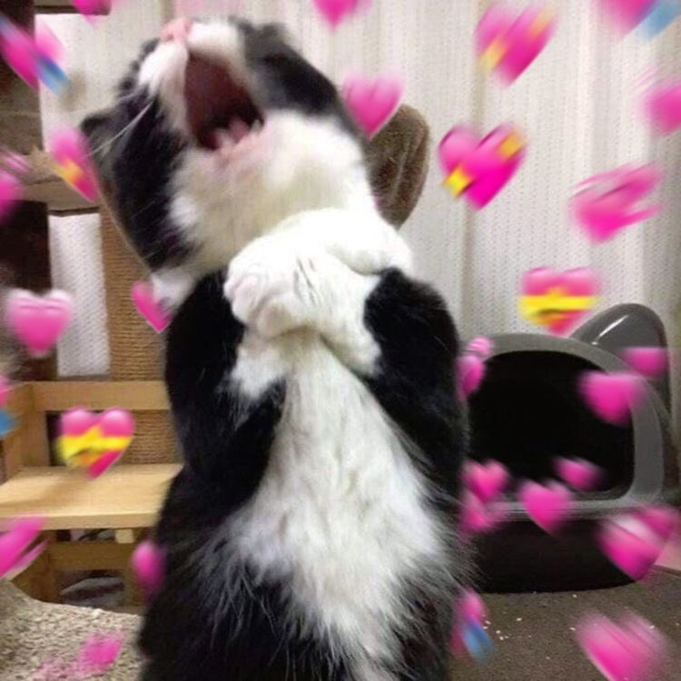 𝐯𝐞𝐫𝐚’𝐬 𝐬𝐦𝐢𝐥𝐞 (@farmigaslove) on Twitter photo 