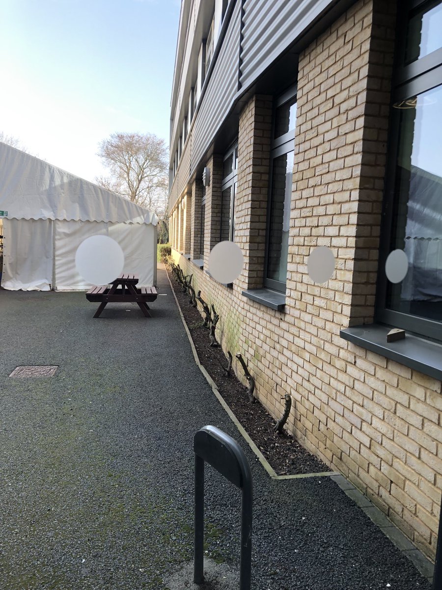 Busy bees this week, lots of great jobs done, the site team have been rocking