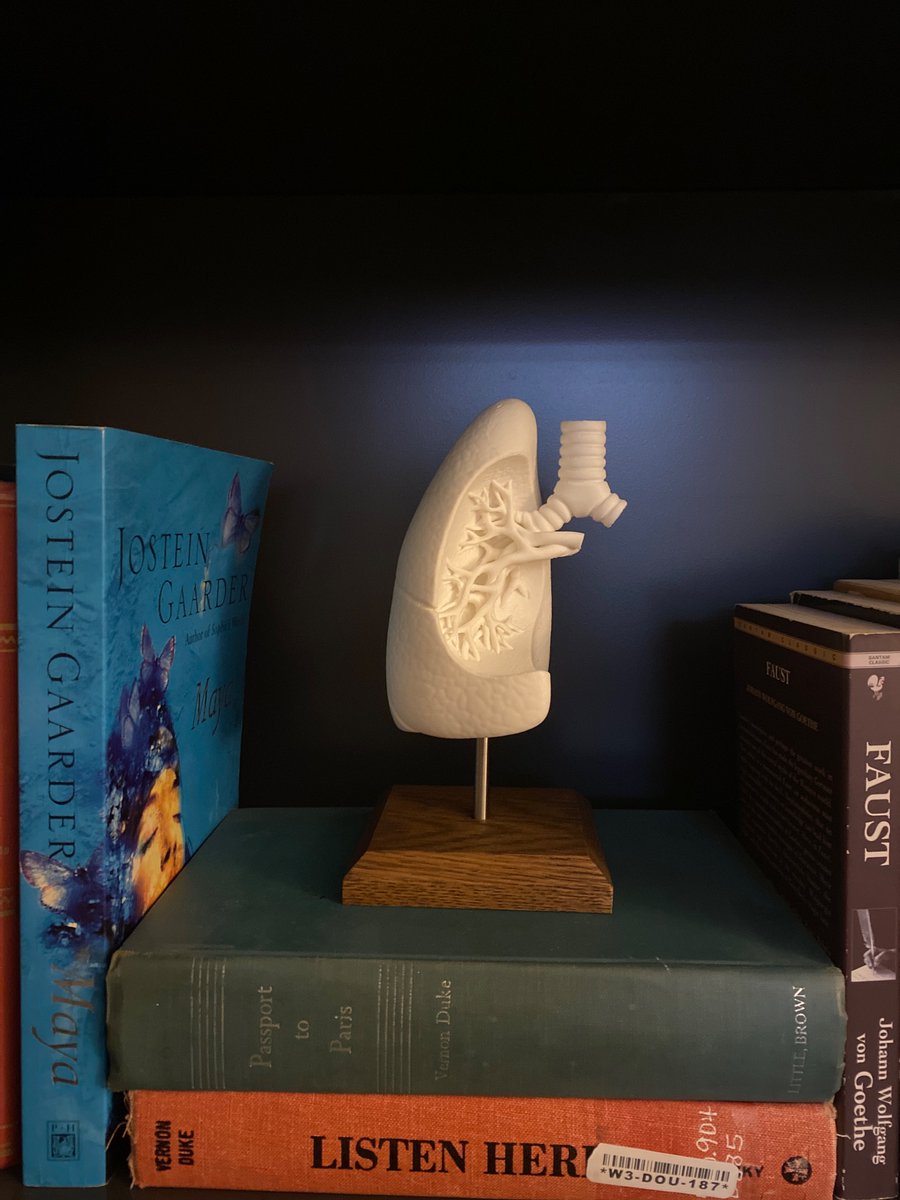 Shout out to my wonderful husband that was determined to get me something nice to put on our zoom background bookshelf  for interview season and ended up making this beautiful piece himself! 

#ThoracicSurgery