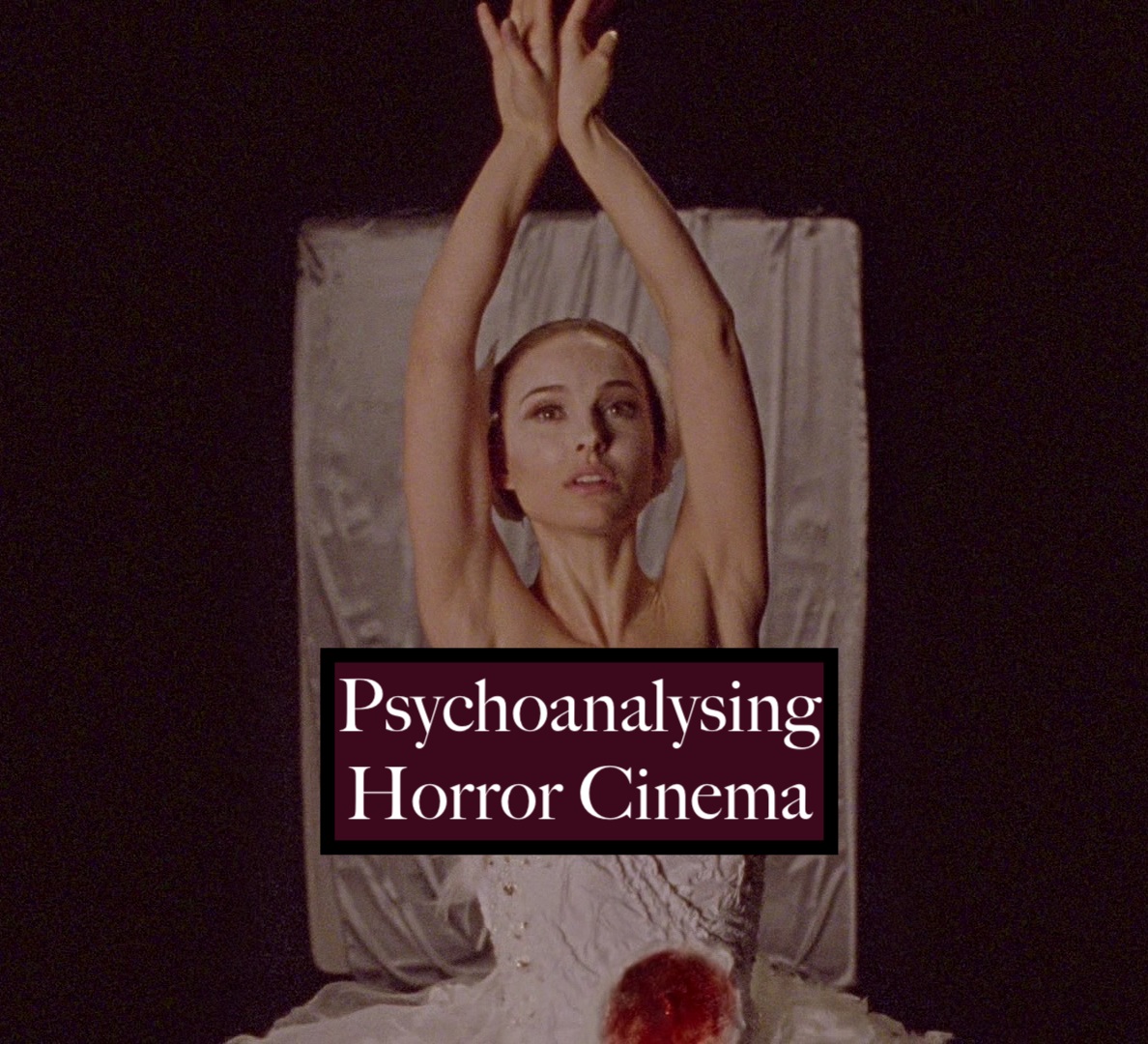 Mary Wild tweet media