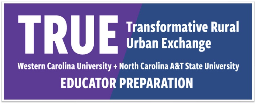 KarlinBurks's tweet photo. 2023 TRUE Retreat!  NC A&amp;T faculty &amp; students AND Western Carolina University faculty &amp; students in Hickory, NC, discussing cultural proficiency and culturally responsive teaching!!!   #AggiePride @ncatsuaggies @ncatcollegeofed https://t.co/B8iT4mXTuL