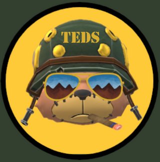 NeoTeddies.neo tweet media