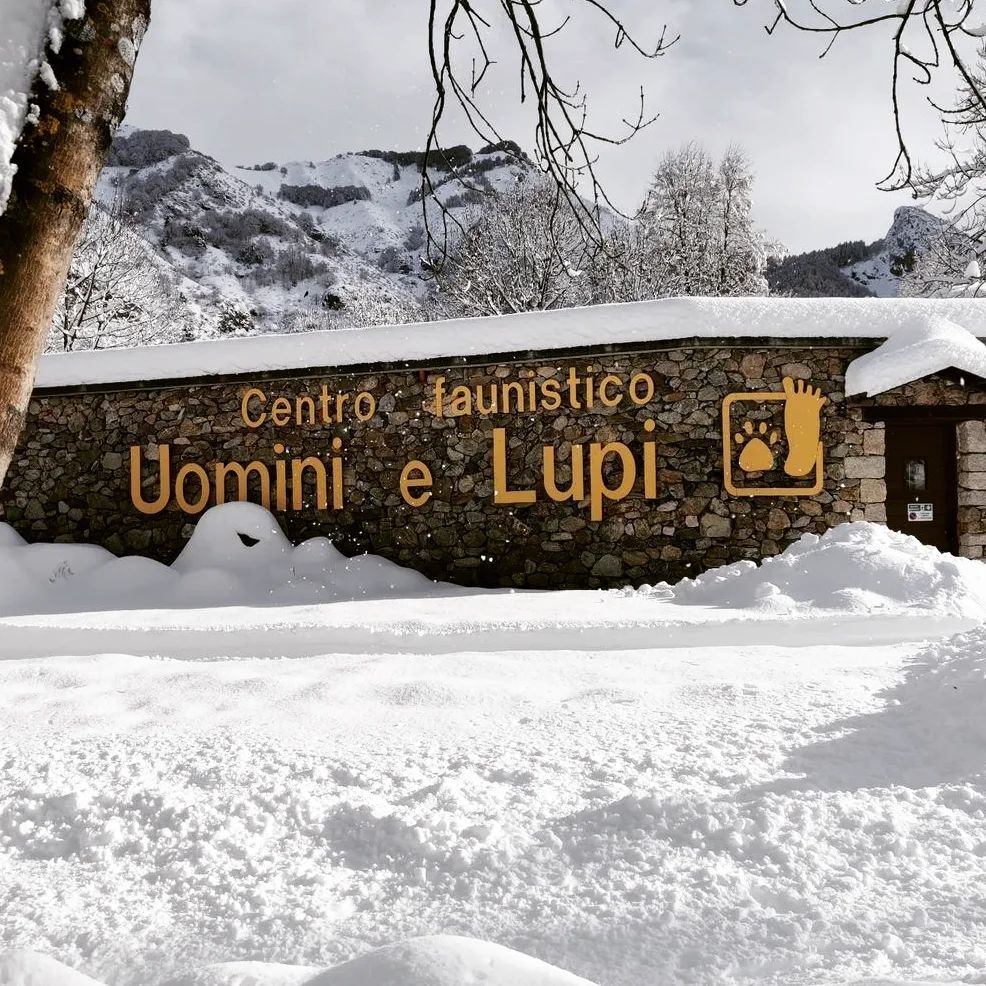 ig_piemonte's tweet photo. presenta
๐บ Centro Faunistico Uomini e Lupi, #Entracque
AUTORE: @areeprotettealpimarittime
LOCAL MANAGER @berenguez
TAG #ig_cuneo
MAIL piemonte@igworldclub.it
SOCIAL
โข https://t.co/e3pQ6zcRUA
โข Twitter @ig_piemonte
HUB @igworldclub
COUNTRY @ig_italia
TEAM @ig_piemontโฆ https://t.co/wqfeZwMo6w