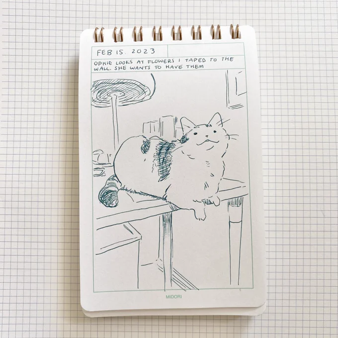 starting an ophie diary to document kitty activities 🖊️ 