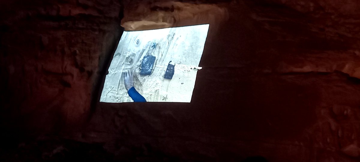 Catherine Le Thomas كاترين لو توما tweet media