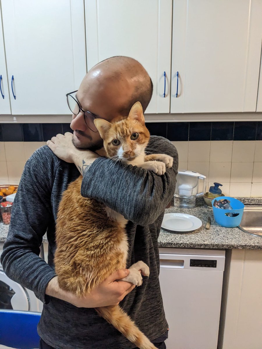 dasNeves tweet media