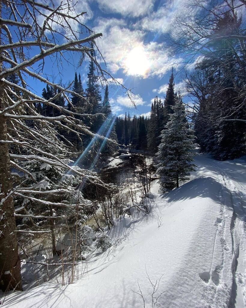 NorthernEdge's tweet image. Testing out some new #trails for winter adventures in our corner of #AlgonquinPark!  Todd is the most adventurous at scouting out new opportunities for adventure. ❄️
This beautiful, even ski trail runs right alongside the South River into the boundaries of the park -- we jus…