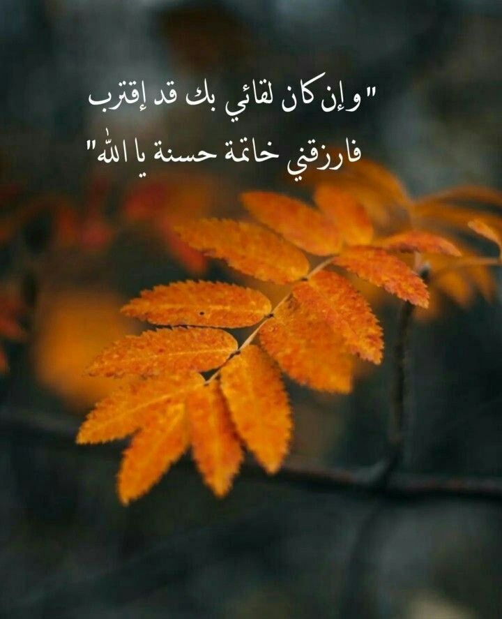 و ألطف بنا يا الله من هول المشهد ومرارة الفقد وموت الفجاءة و خراب الديار . 🌱