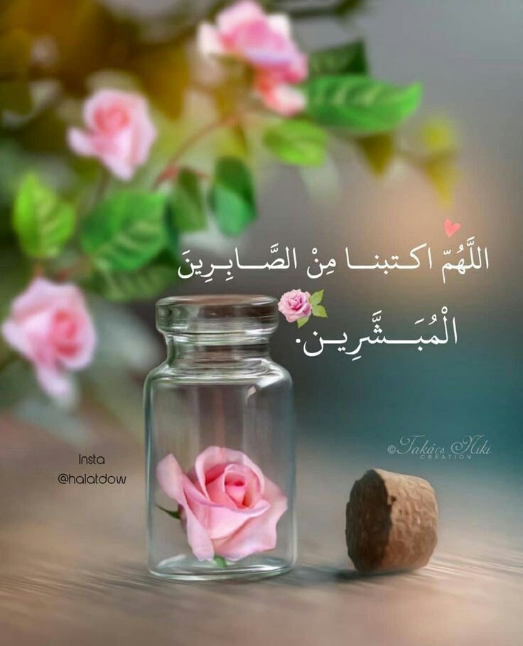 "اللهُمَّ اجعلنا فِي عِنَايتِكَ، فَلَا يَضُرّنا بَشَرٌ، ولَا يبكيِنا قَدَرٌ"🌸