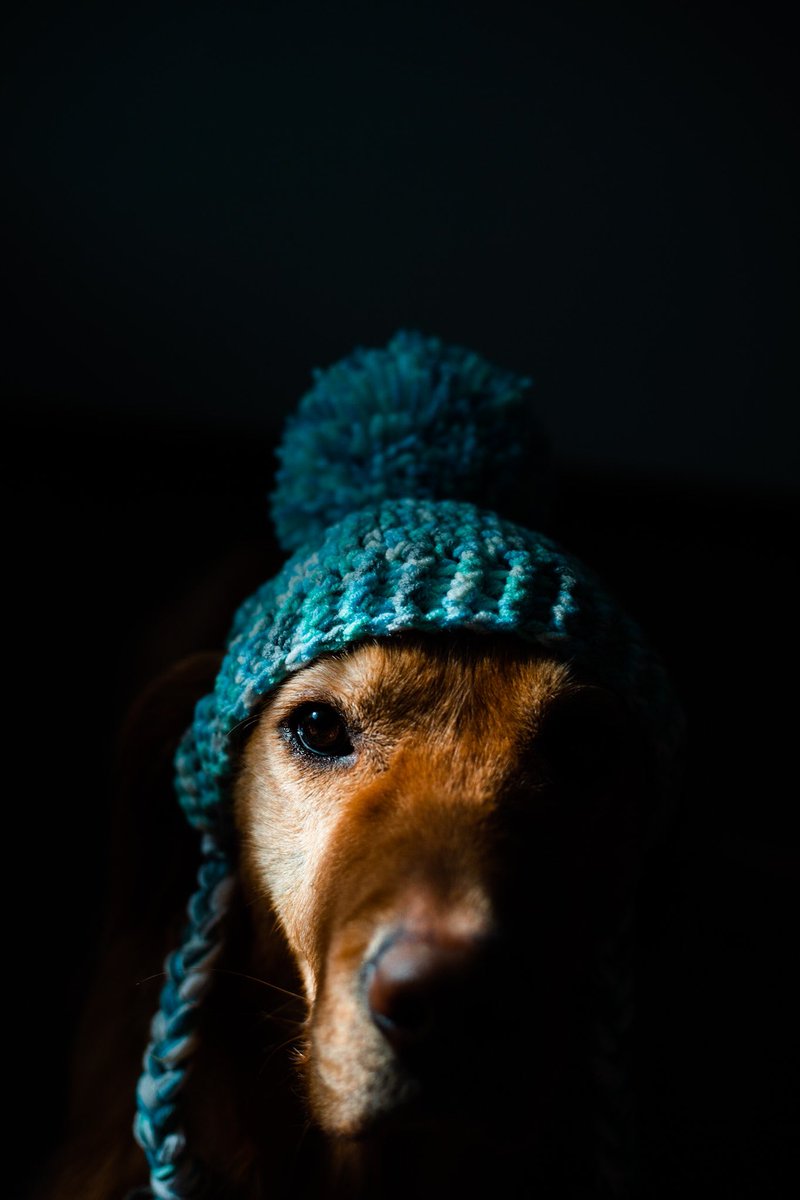 Love this vibe dark and moody 😏